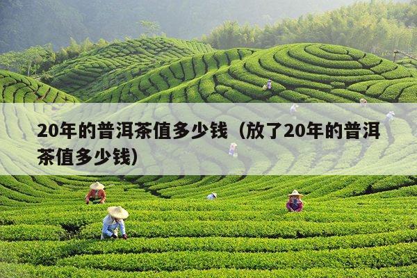 20年的普洱茶值多少钱（放了20年的普洱茶值多少钱）