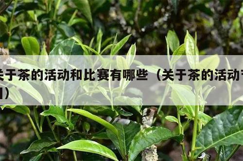 关于茶的活动和比赛有哪些（关于茶的活动节目）