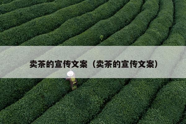 卖茶的宣传文案（卖茶的宣传文案）