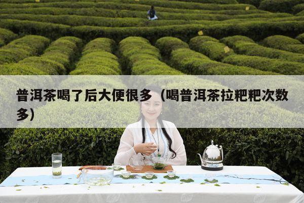 普洱茶喝了后大便很多（喝普洱茶拉粑粑次数多）