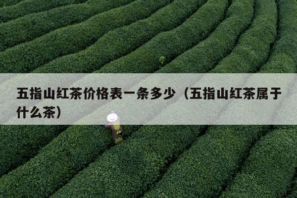 五指山红茶价格表一条多少（五指山红茶属于什么茶）