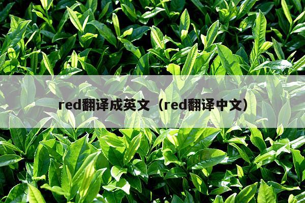 red翻译成英文（red翻译中文）