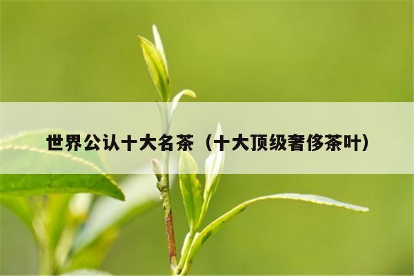 世界公认十大名茶（十大顶级奢侈茶叶）