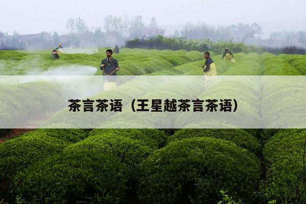 茶言茶语（王星越茶言茶语）