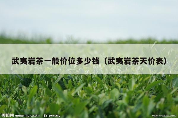 武夷岩茶一般价位多少钱（武夷岩茶天价表）