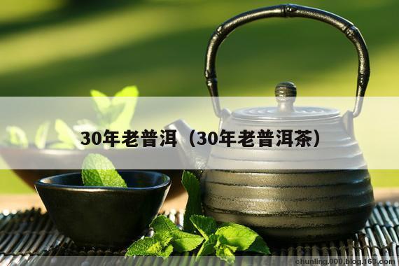 30年老普洱（30年老普洱茶）