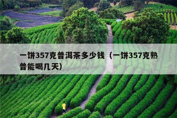 一饼357克普洱茶多少钱（一饼357克熟普能喝几天）