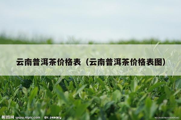 云南普洱茶价格表（云南普洱茶价格表图）