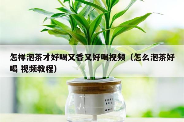 怎样泡茶才好喝又香又好喝视频（怎么泡茶好喝 视频教程）