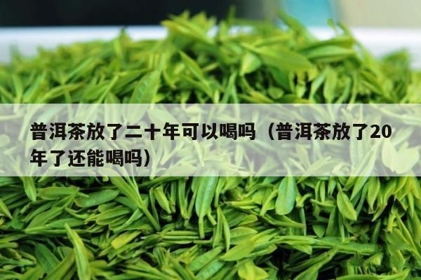 普洱茶放了二十年可以喝吗（普洱茶放了20年了还能喝吗）