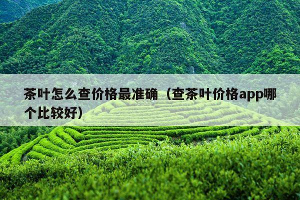 茶叶怎么查价格最准确（查茶叶价格app哪个比较好）