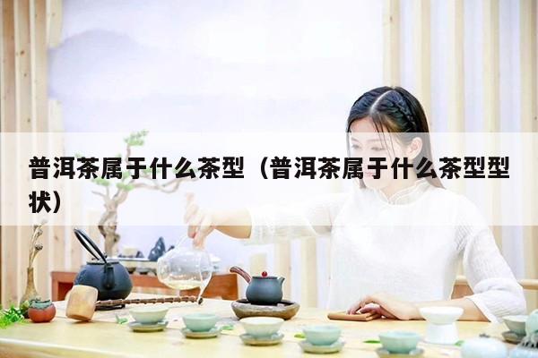 普洱茶属于什么茶型（普洱茶属于什么茶型型状）