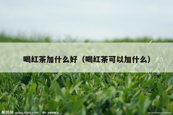 喝红茶加什么好（喝红茶可以加什么）