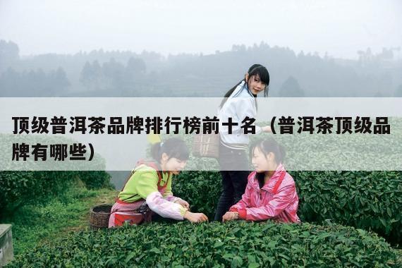 顶级普洱茶品牌排行榜前十名（普洱茶顶级品牌有哪些）