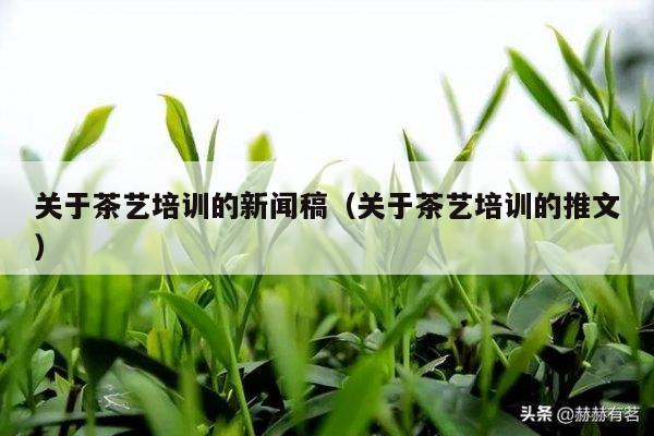 关于茶艺培训的新闻稿（关于茶艺培训的推文）