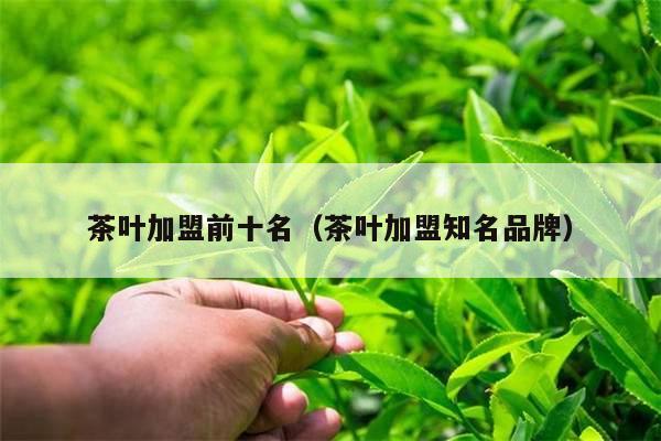 茶叶加盟前十名（茶叶加盟知名品牌）