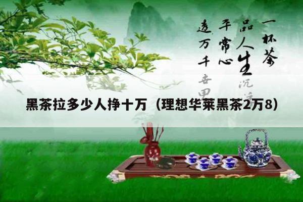 黑茶拉多少人挣十万（理想华莱黑茶2万8）