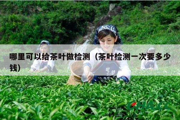 哪里可以给茶叶做检测（茶叶检测一次要多少钱）