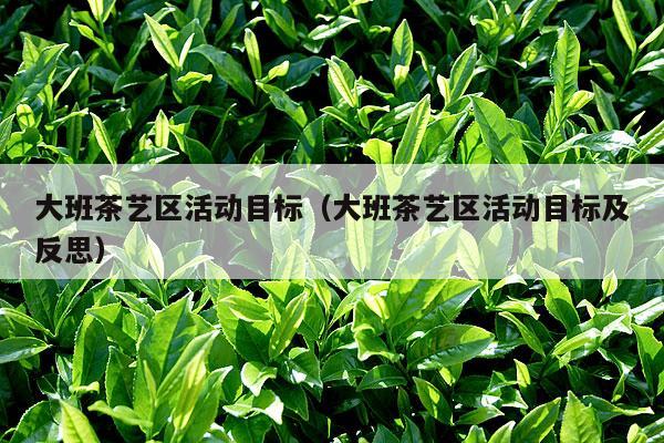 大班茶艺区活动目标（大班茶艺区活动目标及反思）