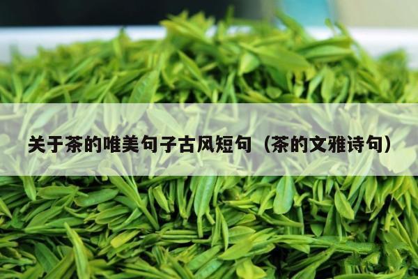 关于茶的唯美句子古风短句（茶的文雅诗句）