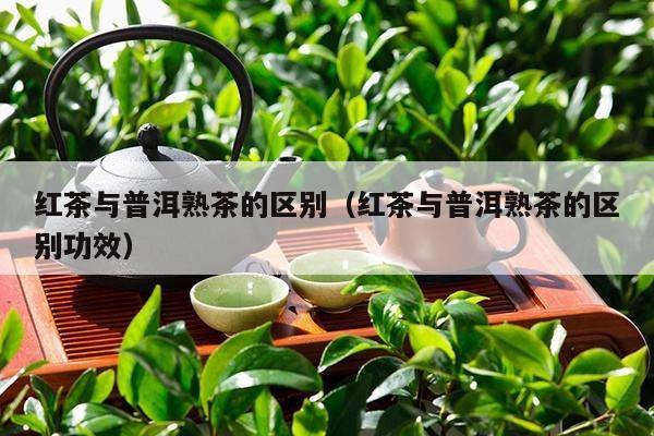 红茶与普洱熟茶的区别（红茶与普洱熟茶的区别功效）