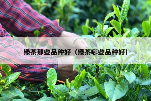 绿茶那些品种好（绿茶哪些品种好）