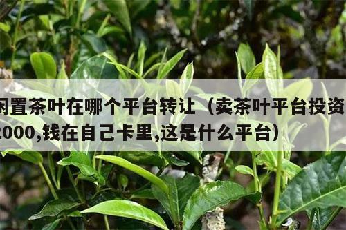 闲置茶叶在哪个平台转让（卖茶叶平台投资12000,钱在自己卡里,这是什么平台）