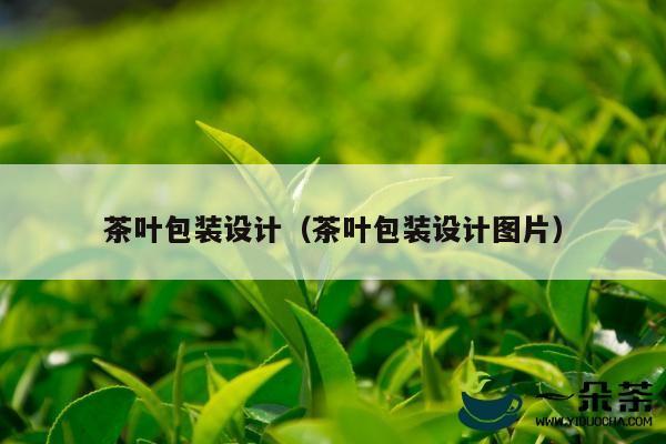 茶叶包装设计（茶叶包装设计图片）