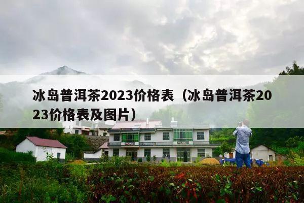 冰岛普洱茶2023价格表（冰岛普洱茶2023价格表及图片）