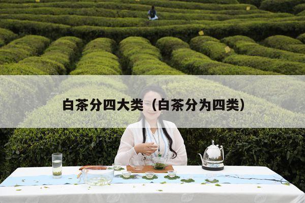 白茶分四大类（白茶分为四类）