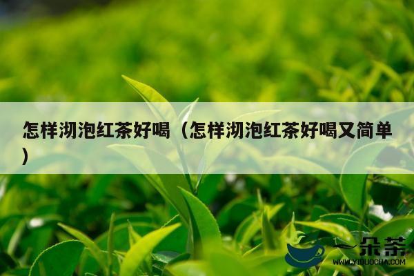 怎样沏泡红茶好喝（怎样沏泡红茶好喝又简单）