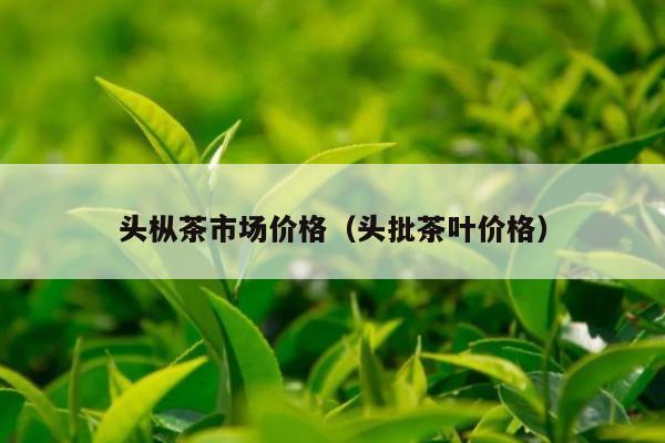 头枞茶市场价格（头批茶叶价格）