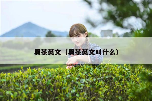 黑茶英文（黑茶英文叫什么）