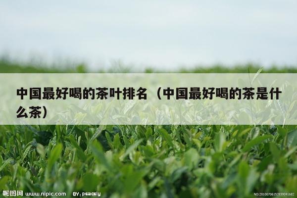 中国最好喝的茶叶排名（中国最好喝的茶是什么茶）