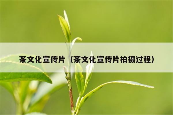 茶文化宣传片（茶文化宣传片拍摄过程）