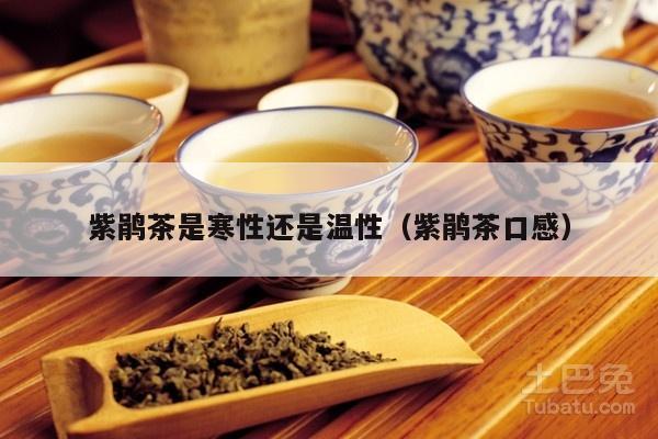 紫鹃茶是寒性还是温性（紫鹃茶口感）