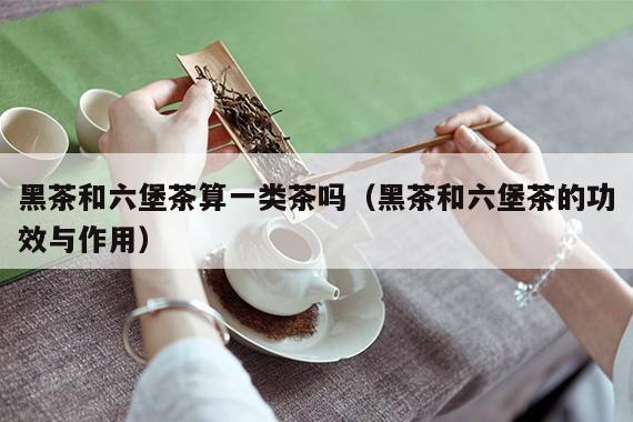 黑茶和六堡茶算一类茶吗（黑茶和六堡茶的功效与作用）