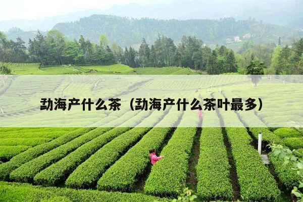 勐海产什么茶（勐海产什么茶叶最多）