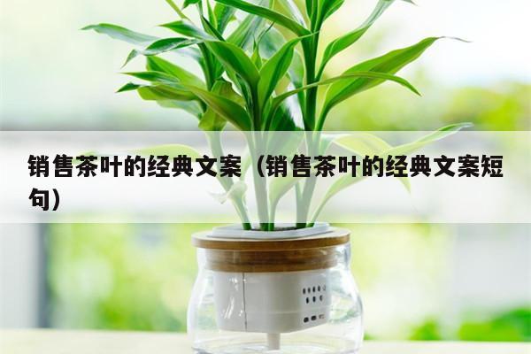 销售茶叶的经典文案（销售茶叶的经典文案短句）