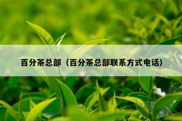 百分茶总部（百分茶总部联系方式电话）