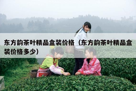 东方韵茶叶精品盒装价格（东方韵茶叶精品盒装价格多少）