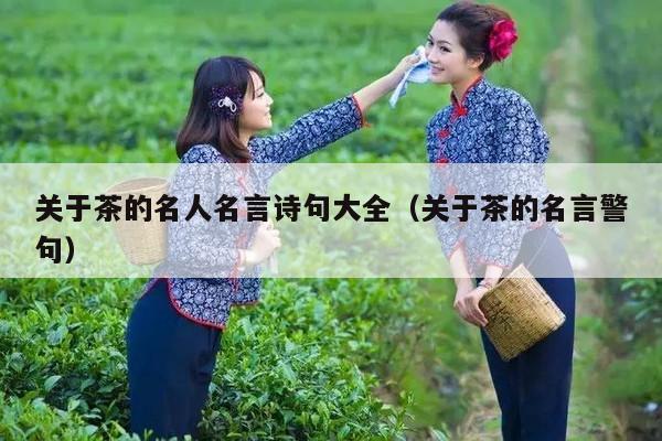 关于茶的名人名言诗句大全（关于茶的名言警句）