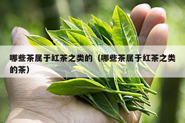 哪些茶属于红茶之类的（哪些茶属于红茶之类的茶）