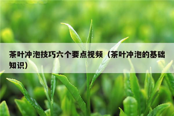 茶叶冲泡技巧六个要点视频（茶叶冲泡的基础知识）