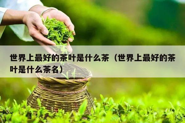 世界上最好的茶叶是什么茶（世界上最好的茶叶是什么茶名）