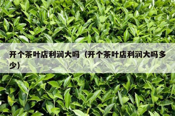 开个茶叶店利润大吗（开个茶叶店利润大吗多少）