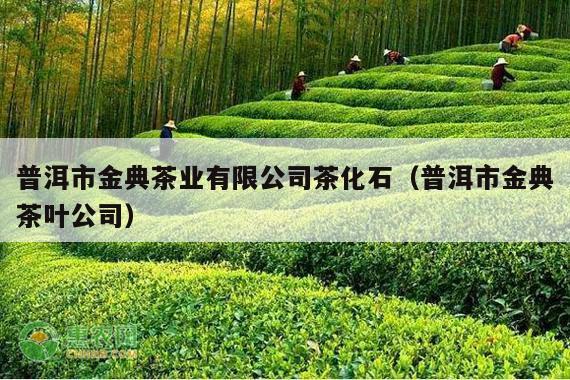 普洱市金典茶业有限公司茶化石（普洱市金典茶叶公司）