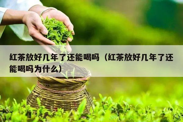 红茶放好几年了还能喝吗（红茶放好几年了还能喝吗为什么）