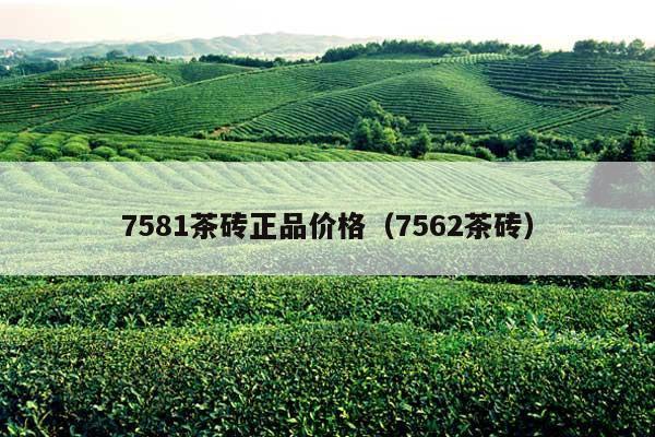 7581茶砖正品价格（7562茶砖）