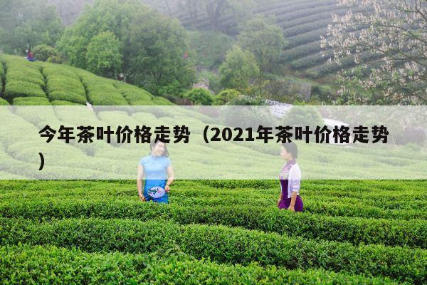 今年茶叶价格走势（2021年茶叶价格走势）